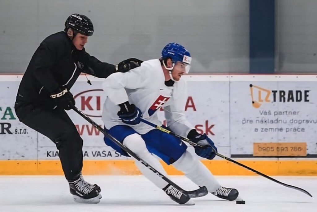 M Hrivik P cehlarik dp2